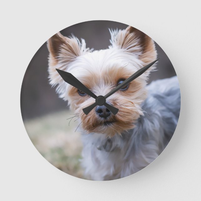 Yorkshire skräcker, Hund, Pet Rund Klocka (Framsida)