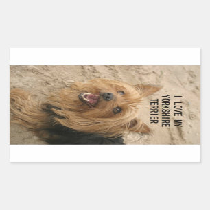 Yorkshire skräcker kärlek w pic black and tan rektangulärt klistermärke
