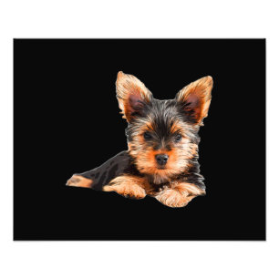 Yorkshire skräcker Yorkie Puppy Hund Fototryck