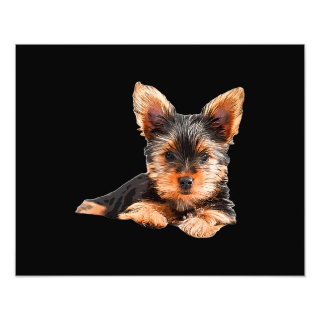 Yorkshire skräcker Yorkie Puppy Hund Fototryck (Framsidan)