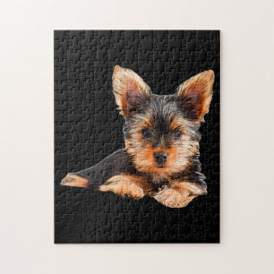Yorkshire skräcker Yorkie Puppy Hund Pussel