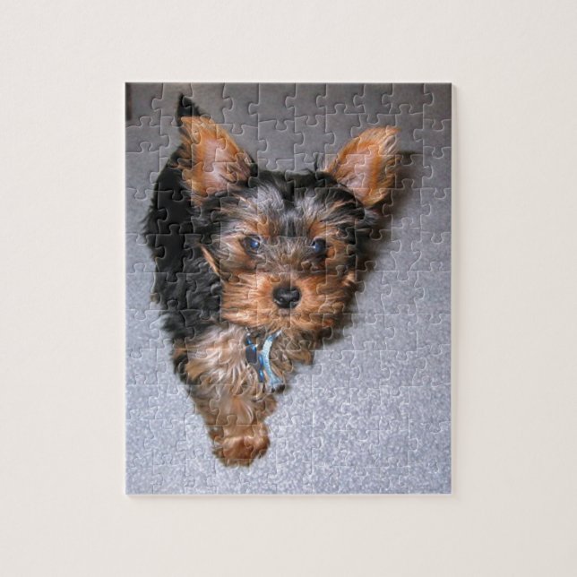 Yorkshire skräckes puppy pussel (Vertikal)