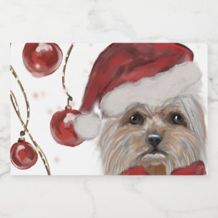 YORKSHIRE TERRIER 