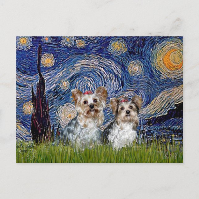 Yorkshire Terrier (13 och 15) - Stjärnnatt Vykort (Framsida)