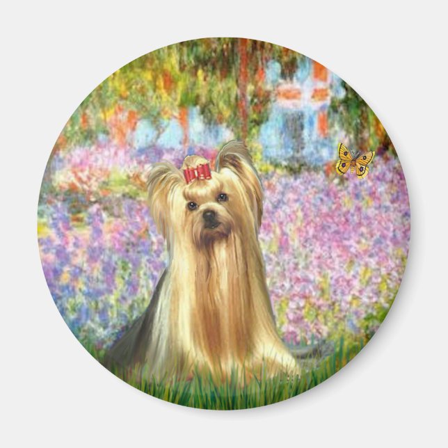 Yorkshire Terrier 1 - Trädgård Magnet (Framsidan)