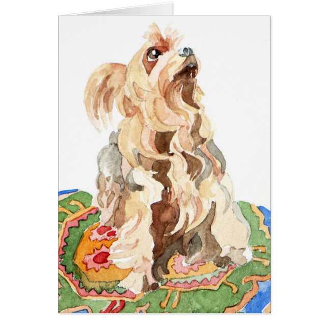 Yorkshire terrier 2012 hälsningskort (Framsidan)