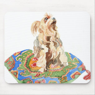 Yorkshire terrier 2012 musmatta