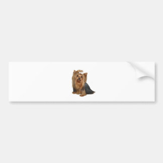 Yorkshire Terrier (7) Bildekal