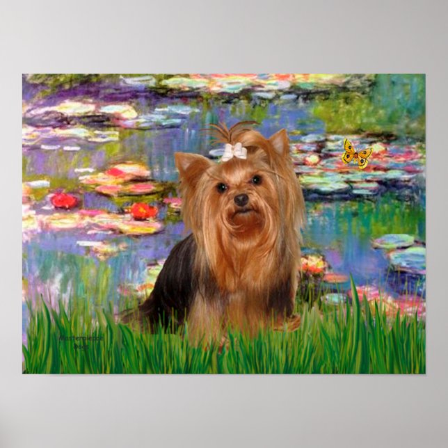 Yorkshire Terrier 7 - Lilies 2 Poster (Framsidan)
