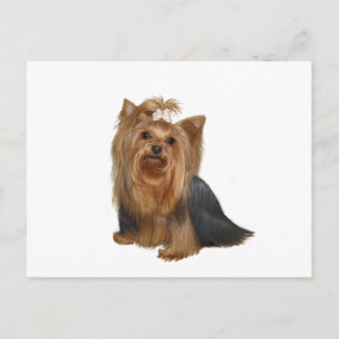 Yorkshire Terrier (7) Vykort