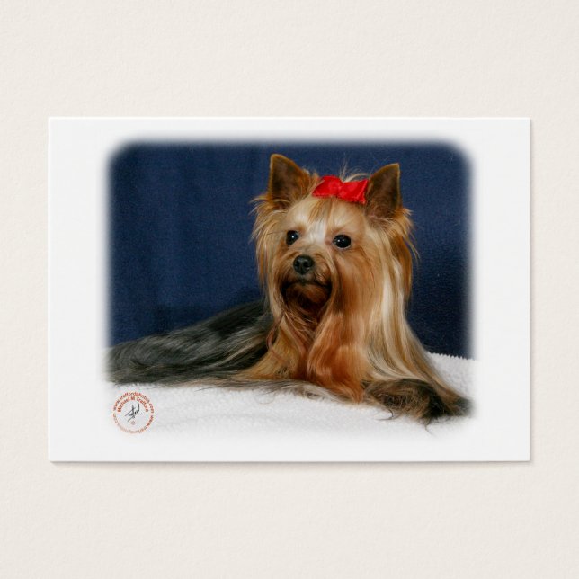 Yorkshire Terrier 9Y110D-064 Visitkort (Framsidan)
