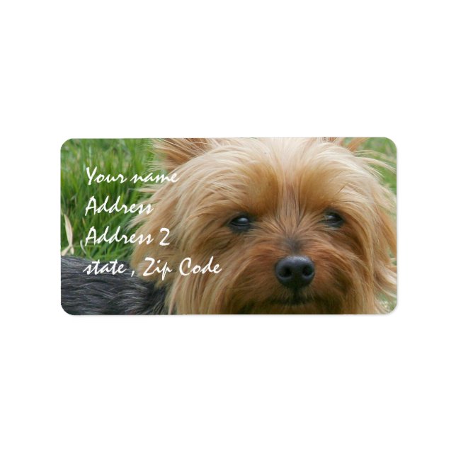 Yorkshire Terrier Adressetikett (Framsidan)