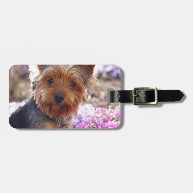 Yorkshire Terrier Bagagebricka (Horisontell Framsida)