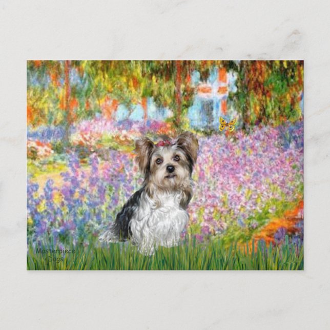 Yorkshire Terrier (Biewer) - Garden Vykort (Framsida)