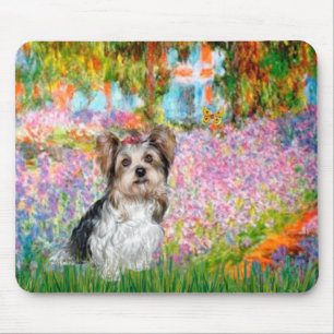 Yorkshire Terrier (Biewer) - Trädgård Musmatta