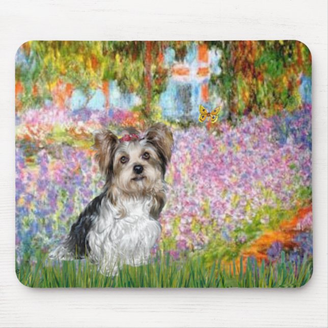 Yorkshire Terrier (Biewer) - Trädgård Musmatta (Framsidan)