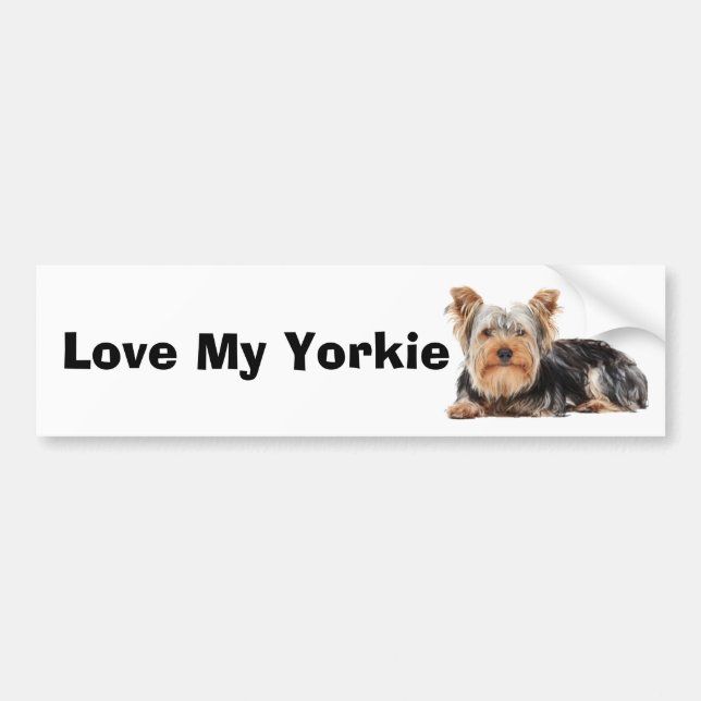 Yorkshire Terrier Bildekal (Framsidan)