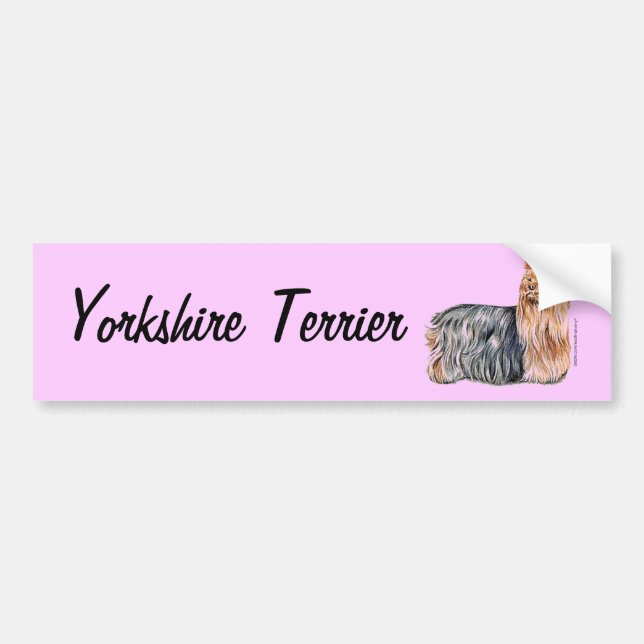 Yorkshire Terrier Bildekal (Framsidan)