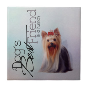 Yorkshire Terrier-bricka Kakelplatta