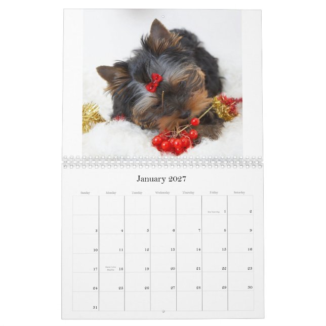 Yorkshire Terrier Calendar Kalender (Jan 2027)