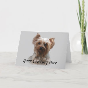 Yorkshire Terrier Card Kort