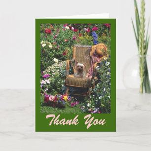 Yorkshire Terrier Card Tack Kort