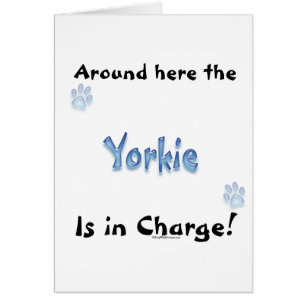 Yorkshire Terrier Charge Hälsningskort