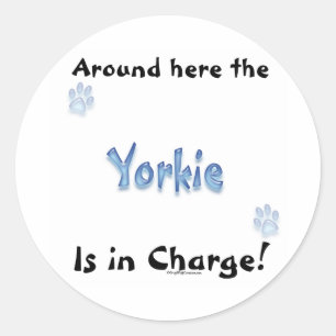 Yorkshire Terrier Charge Sticker Runt Klistermärke