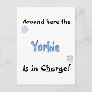 Yorkshire Terrier Charge Vykort