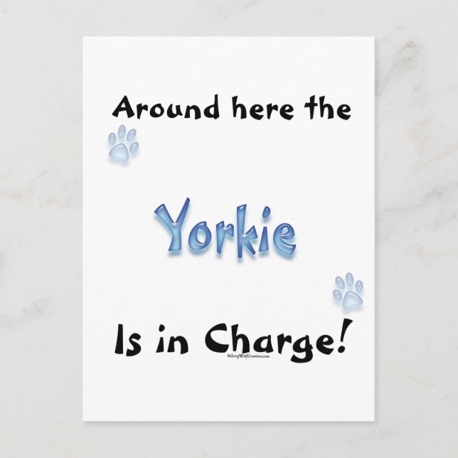 Yorkshire Terrier Charge Vykort (Framsida)