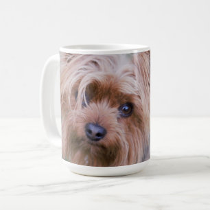 Yorkshire Terrier Closeup Coffee Mugg