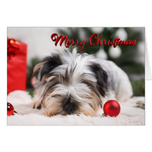 Yorkshire Terrier Cute God jul Hälsningskort