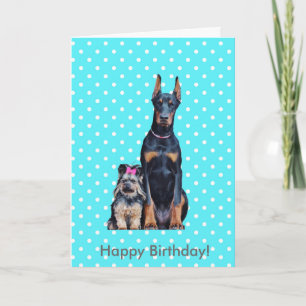 Yorkshire Terrier Doberman Grattis på födelsedagen Kort
