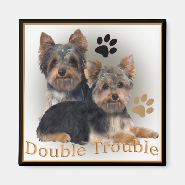 Yorkshire Terrier Dubbla Trouble Gifts Magnet (Framsidan)