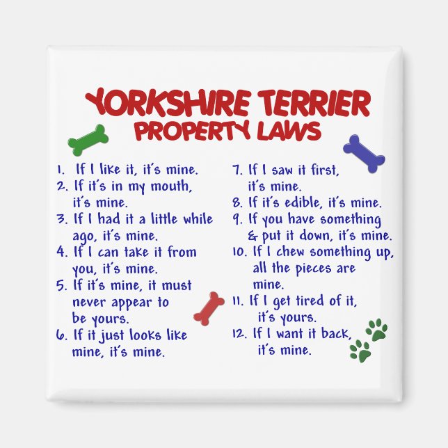 YORKSHIRE TERRIER Egendom Laws 2 Yorkie Magnet (Framsidan)