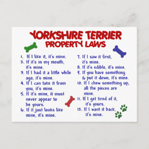 YORKSHIRE TERRIER Egendom Laws 2 Yorkie Vykort