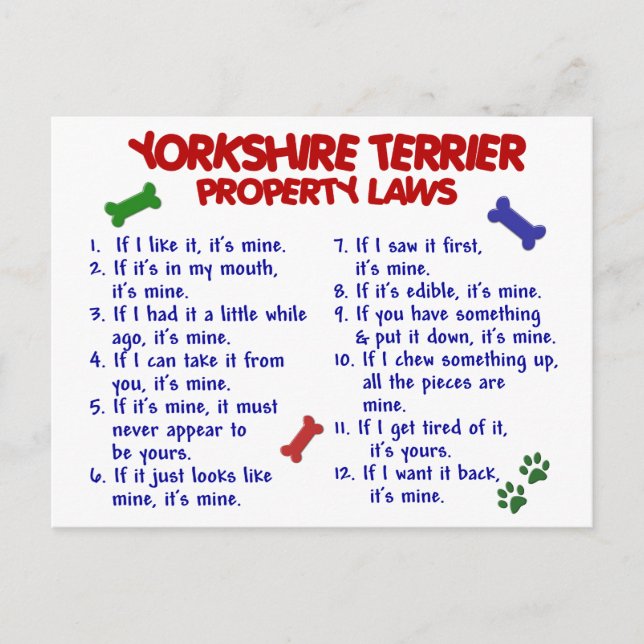 YORKSHIRE TERRIER Egendom Laws 2 Yorkie Vykort (Framsida)