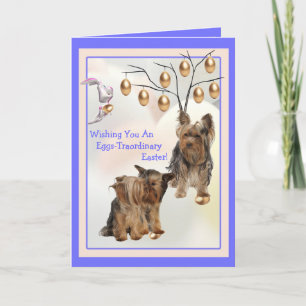 Yorkshire Terrier Eggs - Traordinary Påsk Önskemål Helgkort