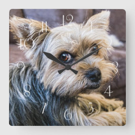 Yorkshire Terrier Fyrkantig Klocka