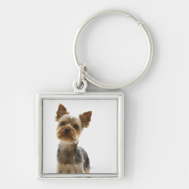 Yorkshire Terrier Fyrkantig Silverfärgad Nyckelring (Framsidan)