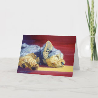 Yorkshire Terrier Greeting Cards Kort