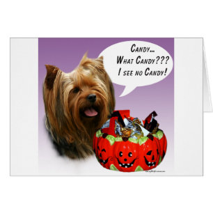 Yorkshire Terrier Halloween Candy Hälsningskort