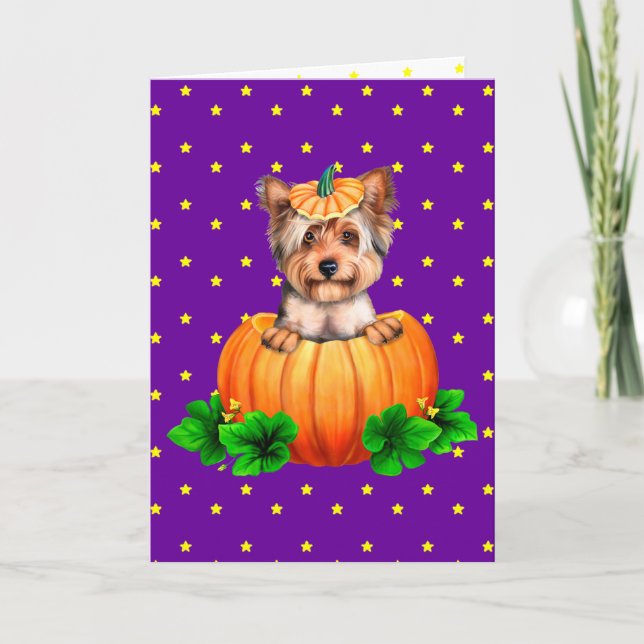 Yorkshire Terrier Halloween Jack-O-Lantern Kort (Framsida)