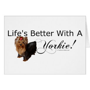 Yorkshire Terrier Hälsningskort