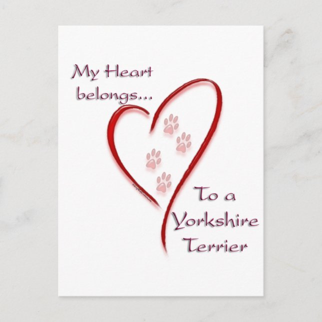 Yorkshire Terrier Heart Tillhör Vykort (Framsida)