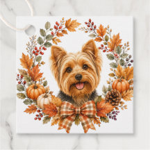 Yorkshire Terrier Höst