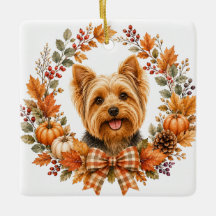 Yorkshire Terrier Höst