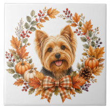 Yorkshire Terrier Höst