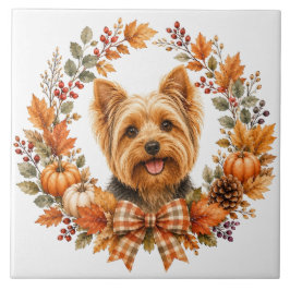 Yorkshire Terrier Höst Kakelplatta