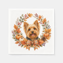 Yorkshire Terrier Höst